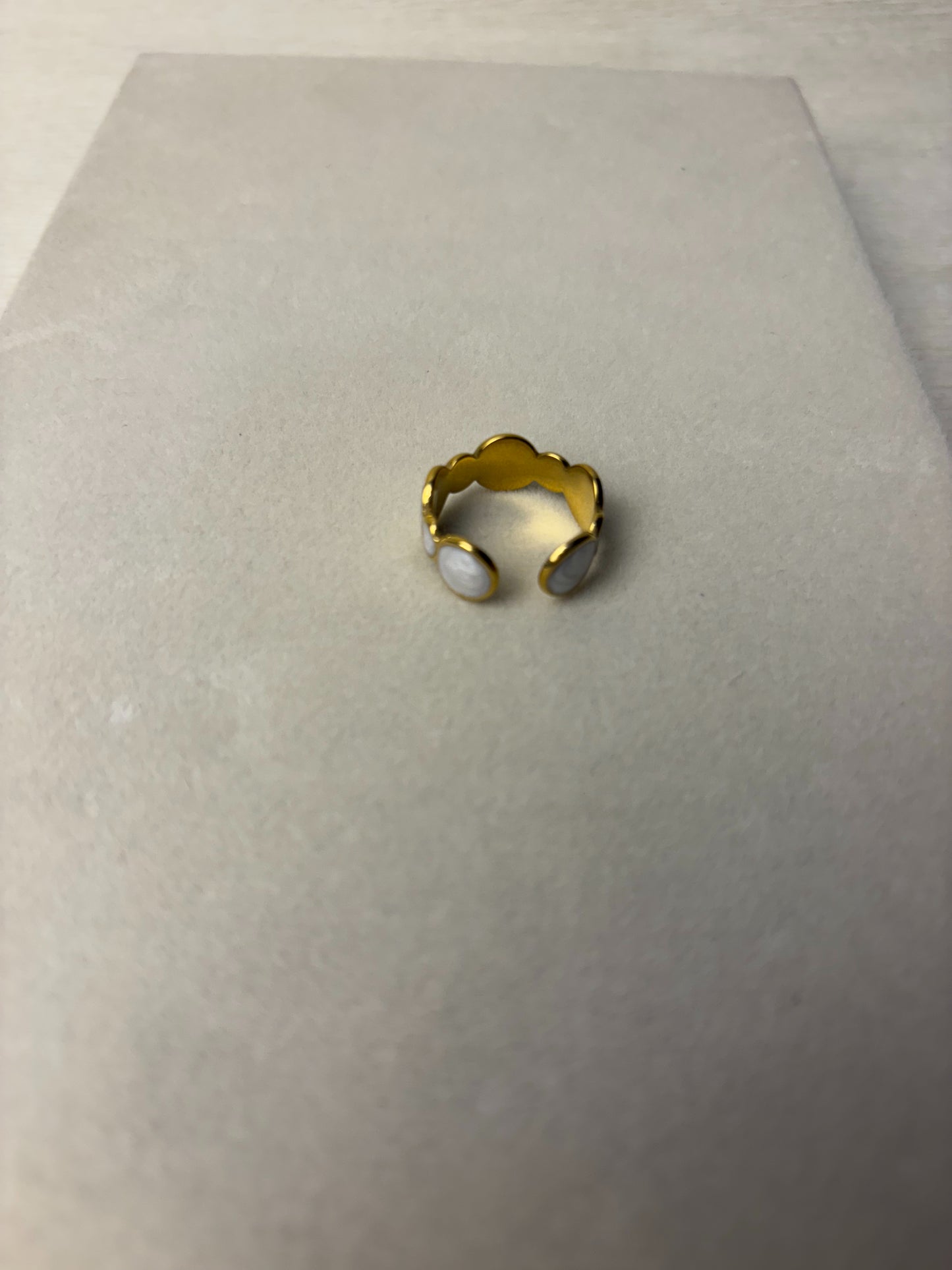 Circle Stainless ring